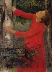 Canto degli uccelli